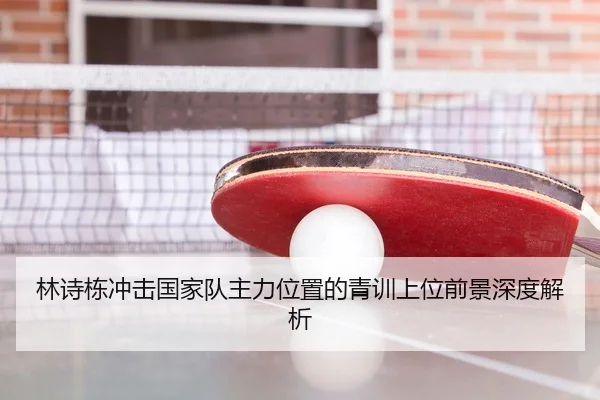 林诗栋冲击国家队主力位置的青训上位前景深度解析