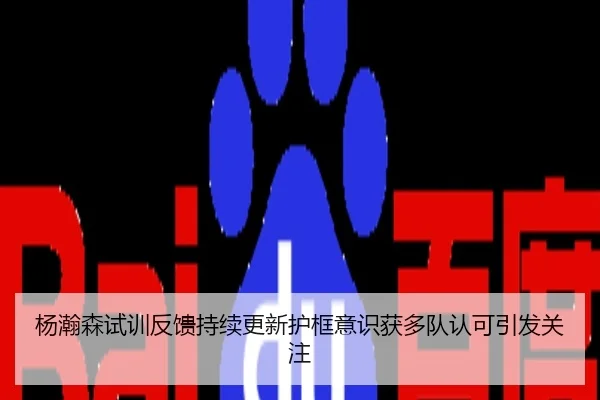 杨瀚森试训反馈持续更新护框意识获多队认可引发关注